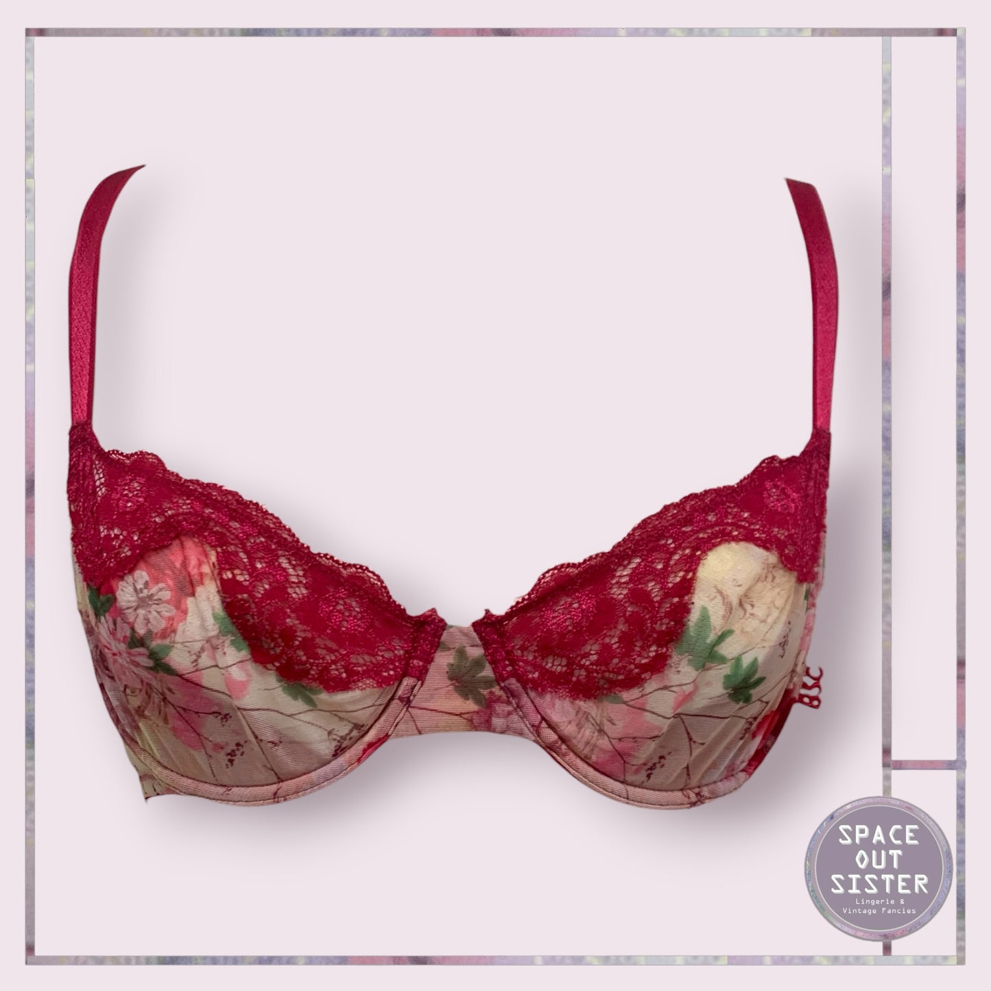 BSC Red Lace Bra